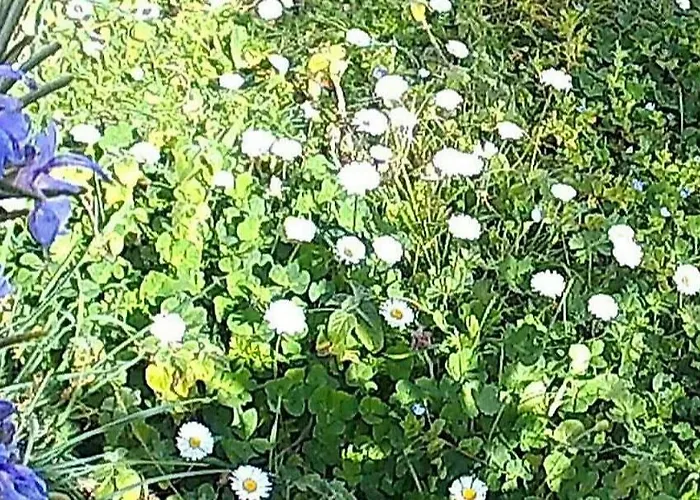 Appartement Chic Loft