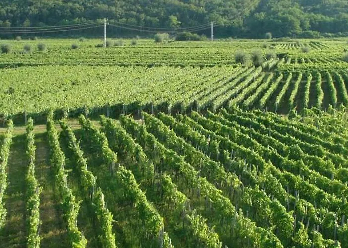 Chic Loft Lägenhet Krk Town